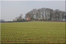 SK8831 : Farmland near Grantham by Kate Jewell