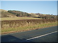 Moel Truan from A5104