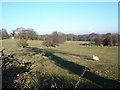 Henllan farmland