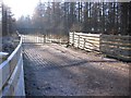 NY4034 : An entrance to Greystoke Forest. by John Holmes