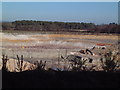 Clay Pit near Dorey