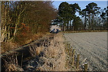 NT6143 : Track near Knock Hill by Iain Macaulay