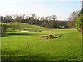 Williamwood Golf Course