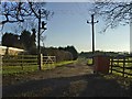 Track leading to Bucks Farm, Bucks Alley