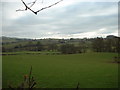 Farmland near Llanelidan