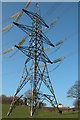 Electricity Pylon at Llancloudy Hill