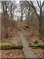 Raveden Brook nature trail - Temple Road end