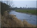 The River Ribble just south of Clitheroe