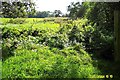 Cheshire Plain - farmland