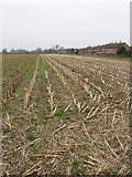 TQ0690 : Arable field ready to plough, Harefield by David Hawgood