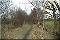 Old colliery line SW of Dodworth