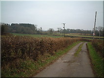 ST4374 : Track looking toward Weston Down by Adrian and Janet Quantock