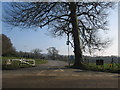 Longleat Safari Park