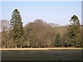 The Flood Plain of the River Meavy