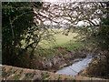 Stream Tilley  Lane  Nr Herstmonceux East Sussex