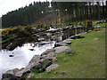 East Dart river at Bellever