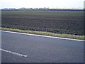 TL1990 : Hod Fen, south of Yaxley by Julian Dowse