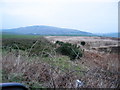 Grazing and moorland off the Moss road by Campbeltown Airport.