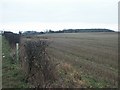 Fields, near Caistor St Edmund