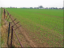TA1542 : Farmland at Rise by Stephen Horncastle