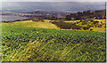 Potato Field at Peace Hill, by Wormit.