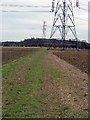 Footpath across field.