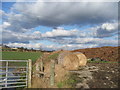 Bales and Manure.