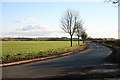 Road near Nunwick