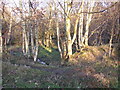 Old mill pond in the Range Dike valley, Farnley Tyas, Yorkshire