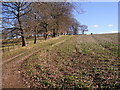 Winter sun in Herefordshire