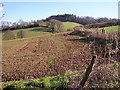 Farmland near Hope Mansell