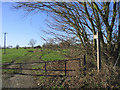 Footpath and gate