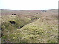 NY6646 : Moorland above Woldgill Burn by Andrew Smith