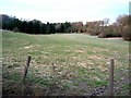 Pasture land near White Hill