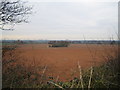 SP2387 : Farmland near Maxstoke by John Winterbottom