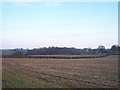 Footpath to Tipton Hall