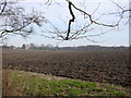 Farmland around Hollin Hay House