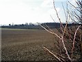 Fields and orchards on the Leckford Estate