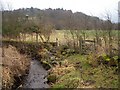 Glassart Den Community Woodland