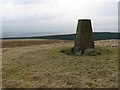 NT1948 : Wether Law trig point by Callum Black
