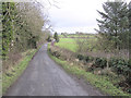 Mullaghmeen Townland