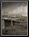 Long derelict industrial workings, at the former Leswidden China Clay works