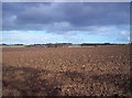 Ploughed Field and Willanyards