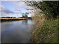 River Tame