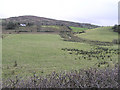 Crocknaboortan Townland