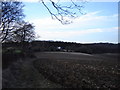 Stowell Cottage and Stowell Copse near Upper Froyle