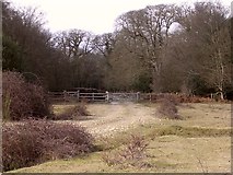 SU2312 : Main entrance to South Bentley Inclosure, New Forest by Jim Champion