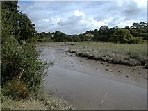 SW8646 : The Tresillian River, tributary of the Truro River Cornwall by Situation