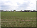 Landscape SE of Colkirk, Norfolk