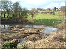 TR3349 : Duck pond, Sutton by Rosie Burnham